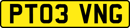 PT03VNG