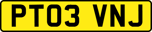 PT03VNJ