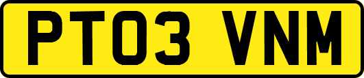 PT03VNM