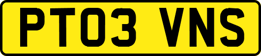 PT03VNS