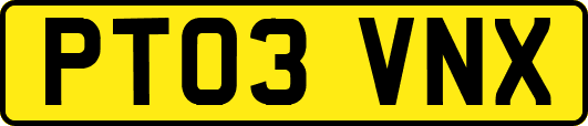 PT03VNX