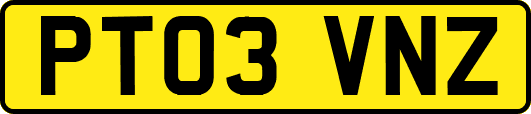 PT03VNZ