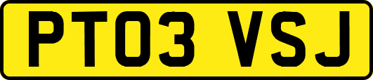 PT03VSJ