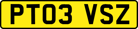 PT03VSZ