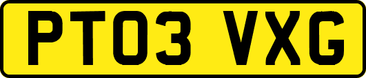 PT03VXG