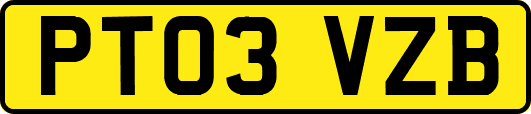 PT03VZB