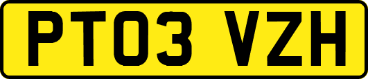 PT03VZH