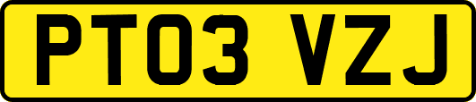 PT03VZJ