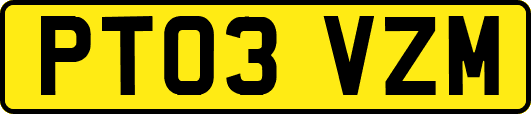 PT03VZM