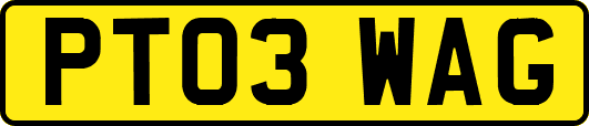PT03WAG
