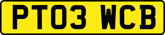 PT03WCB