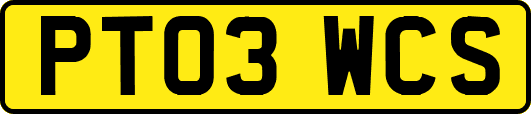 PT03WCS