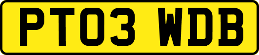 PT03WDB