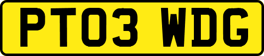 PT03WDG
