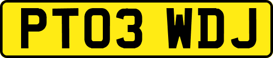 PT03WDJ