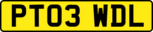 PT03WDL
