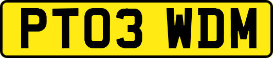PT03WDM