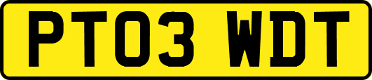 PT03WDT