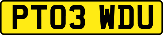 PT03WDU