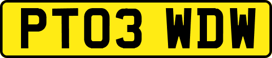 PT03WDW