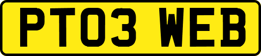 PT03WEB