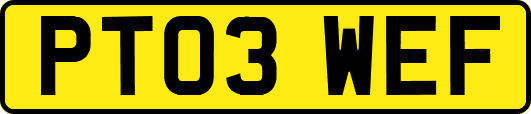 PT03WEF
