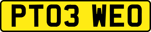 PT03WEO