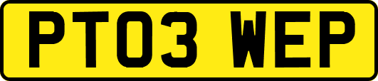 PT03WEP