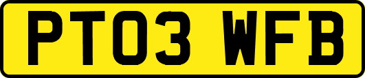 PT03WFB