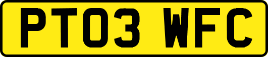 PT03WFC