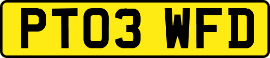 PT03WFD