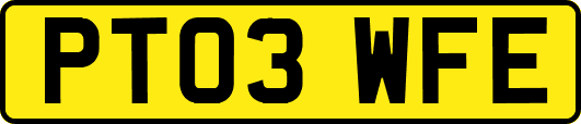 PT03WFE