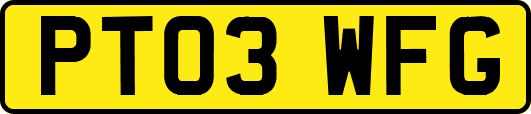 PT03WFG