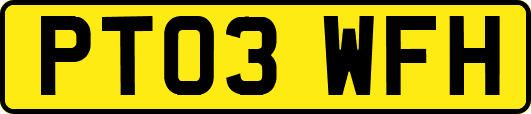 PT03WFH