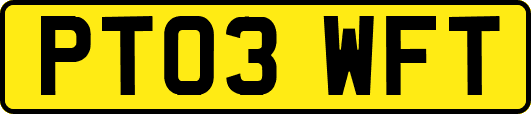 PT03WFT