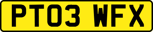 PT03WFX