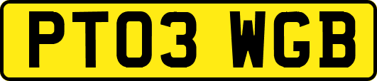 PT03WGB