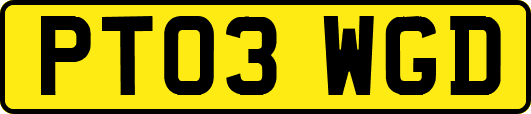 PT03WGD