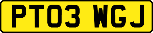 PT03WGJ