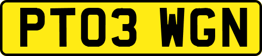 PT03WGN