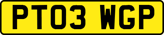 PT03WGP