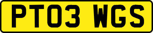 PT03WGS