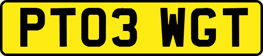 PT03WGT