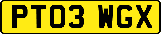 PT03WGX