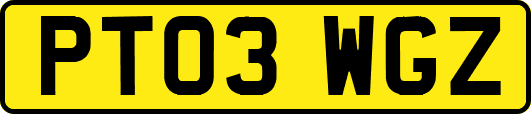 PT03WGZ