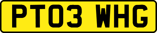 PT03WHG