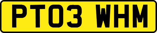 PT03WHM