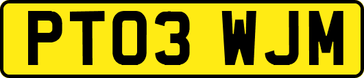 PT03WJM