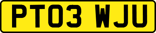 PT03WJU