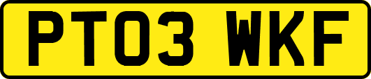 PT03WKF